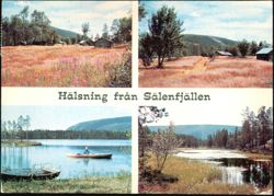 Hälsning från Sälenfjällen, Sweden Scenic Views Postcard