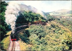 Vale of Rheidol Railway Steam Train at Devil's Bridge Postcard