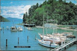 Marina at Picton, New Zealand Postcard