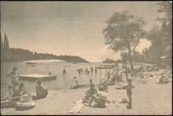 Lake Beach Scene in Mother Lode Country Postcard