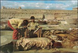 Tanners at Work in Marrakech Postcard