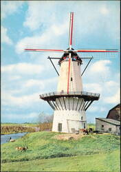 Traditional Dutch Windmill in the Netherlands Postcard