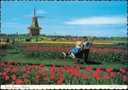 Tulip Time Festival with Windmill in Holland, Michigan Postcard
