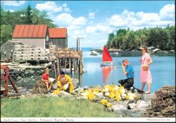 Back Cove, New Harbor, Pemaquid Region, Maine Postcard