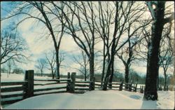 Winter Landscape with Snow-Covered Wooden Fence Postcard