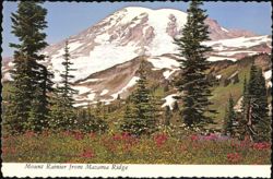 Mount Rainier from Mazama Ridge, Washington Postcard