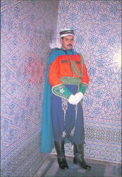 Guard of the Mausoleum of Mohammed V, Rabat, Morocco Postcard