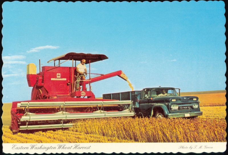 Eastern Washington Wheat Harvest with Combine and GMC Truck