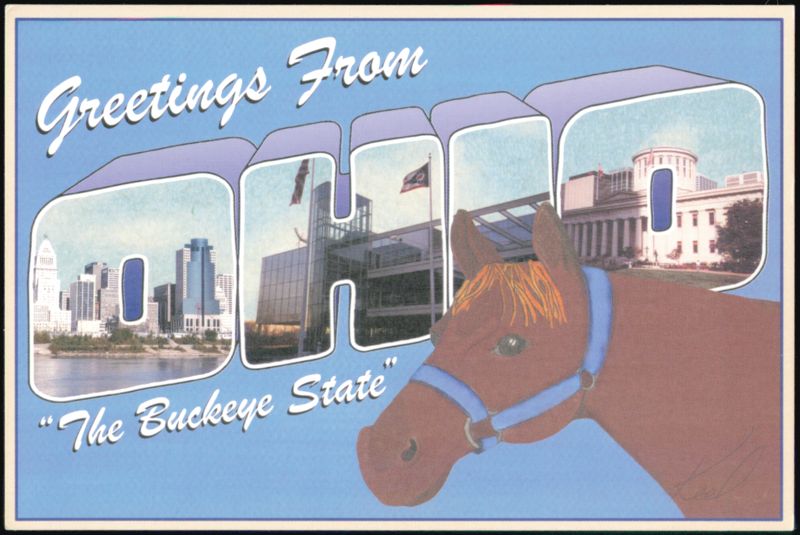 Greetings From Ohio The Buckeye State Horse Illustration