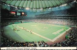 King County Domed Stadium, Seattle Seahawks Home Field Postcard