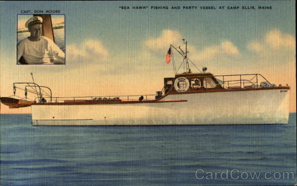 Sea Hawk Camp Ellis Maine