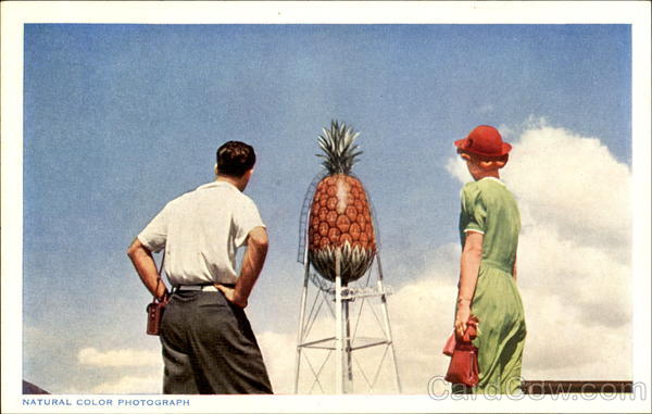 Pineapple Water Tower At Honolulu Hawaii