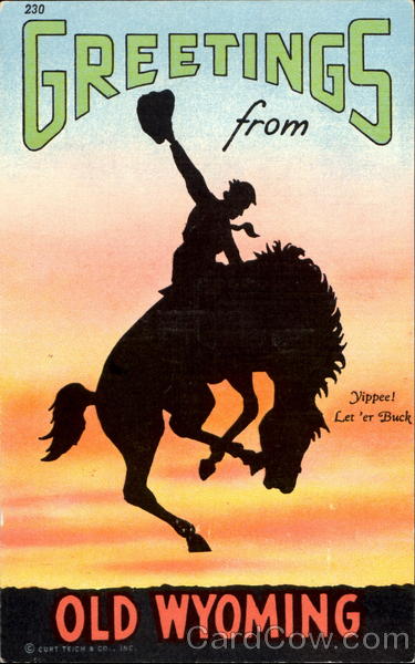 Greetings From Old Wyoming Cowboy Western