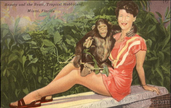 Beauty And The Beast Miami Florida