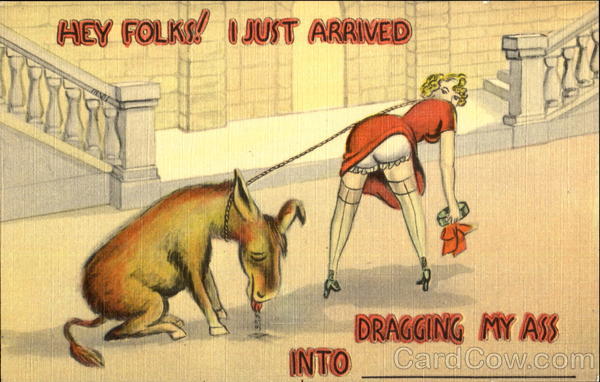 Hey Folks! I Just Arrived Comic, Funny