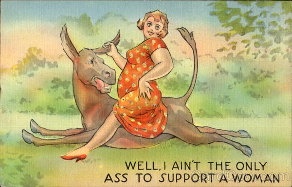 Well I Ain't The Only Ass To Support A Woman Comic, Funny