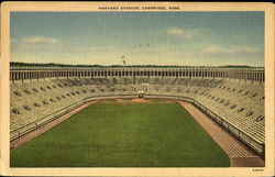 Harvard Stadium Postcard