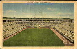 Harvard Stadium Cambridge, MA Postcard Postcard