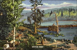 Beaver Pond, E. 14th and Sherman Street Postcard