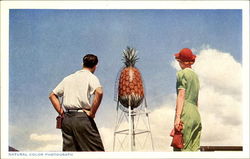 Pineapple Water Tower At Honolulu Postcard