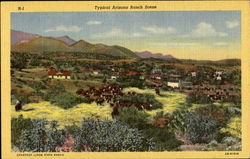 Typical Arizona Ranch Scene Scenic, AZ Postcard Postcard