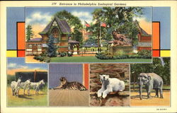 Entrance To Philadelphia Zoological Gardens Postcard