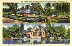 Flower Beds And Reptile House, Zoological Garden Postcard