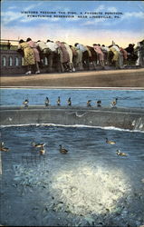 Visitors Feeding The Fish Postcard