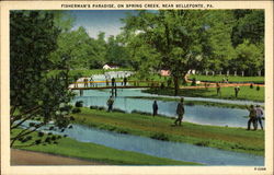 Fisherman's Paradise On Spring Creek Bellefonte, PA Postcard Postcard