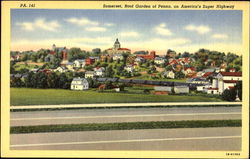 Somerset Roof Garden Of Penna Pennsylvania Postcard Postcard