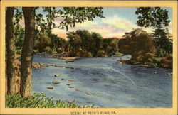 Scene At Peck's Pond Postcard