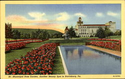 Municipal Rose Garden Postcard