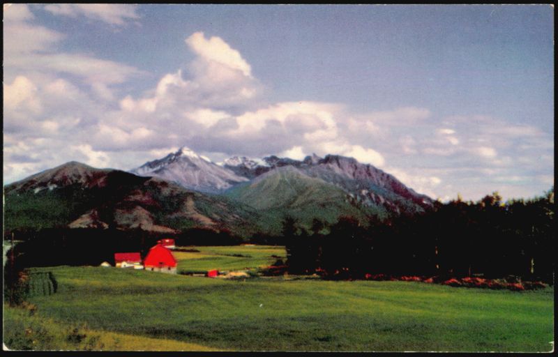Matanuska Farm, Palmer Alaska Valley Agricultural Development