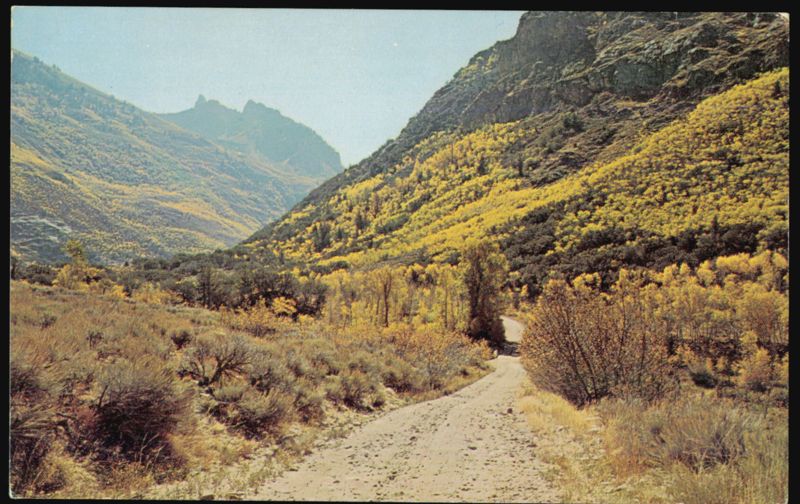 Lamoille Canyon Fall Scene in Ruby Mountains Elko Nevada