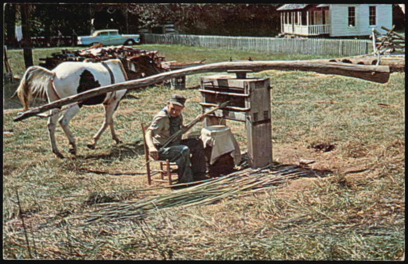 Sorghum Cane Being Crushed Cades Cove Great Smoky Mountains Tennessee