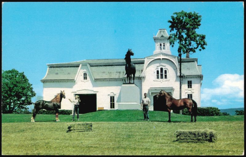 University of Vermont Morgan Horse Farm Weybridge