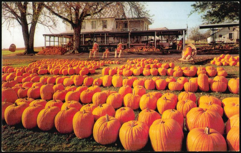 Leroy Pfautz Farm Market Pumpkins, Reamstown PA Pennsylvania