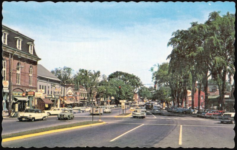 Brunswick, Maine - Main Street Lined with Tall Trees