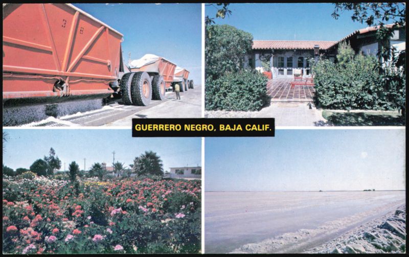 Guerrero Negro, Baja California - Gardens and Salt Flats BC Mexico