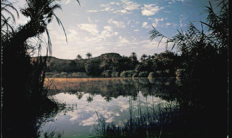 Rio de San Ignacio, Baja California Sur BCS Mexico