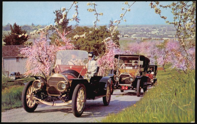 1909 Pierce Arrow, Stearns, and Stevens Duryea Cars