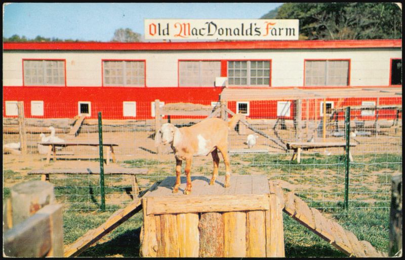 Little Billy Goat at Old MacDonald's Farm Hope New Jersey