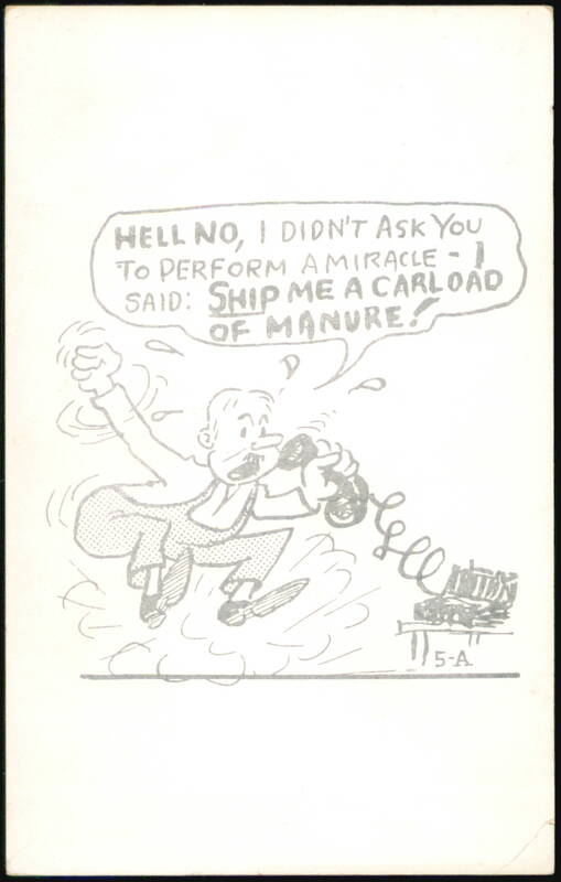 Hell No, I Didn't Ask You to Perform a Miracle - Carload of Manure