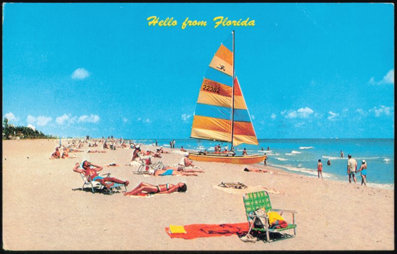 Beach Scene with Catamaran Sailboat and People Relaxing Miami Florida