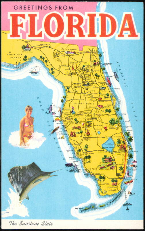 Florida Greetings Map State Bird and Flower