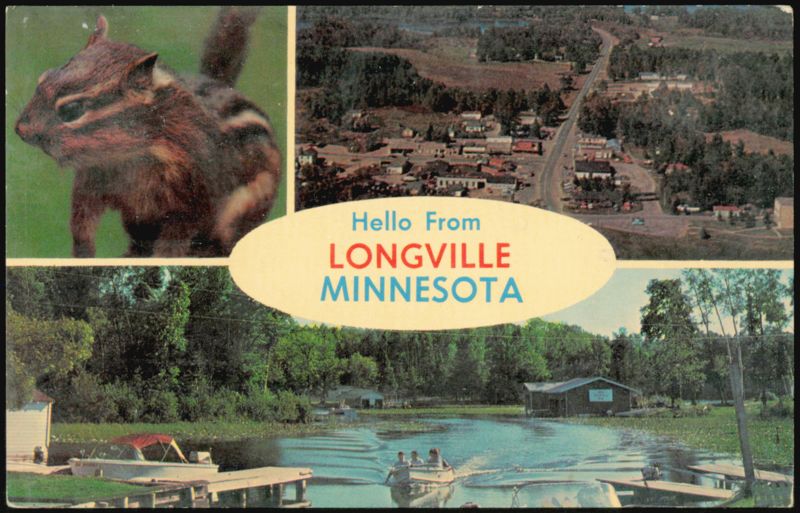 Chipmunk and Aerial and Waterfront Views Longville Minnesota