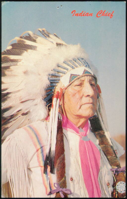 Indian Chief in Traditional Headdress and Regalia Native Americana