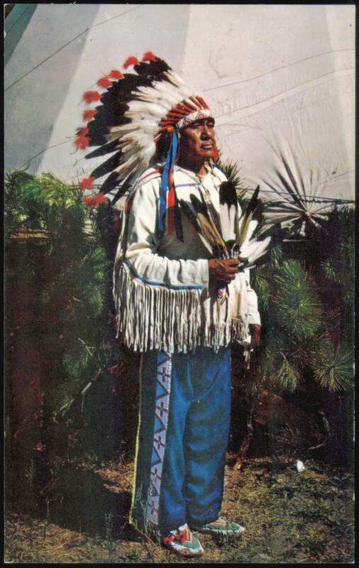 Arapahoe Chief in Traditional Headdress and Regalia Danbury Connecticut