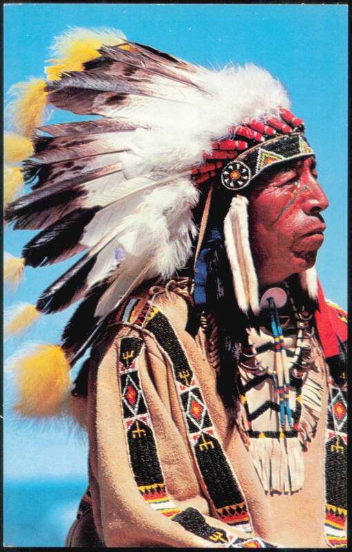 Black Elk A Sioux Warrior in Traditional Regalia
