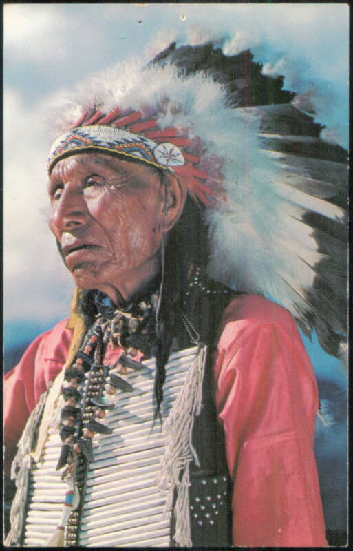 An Old Indian greets you from Maine Vacationland